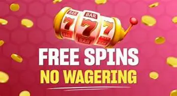 No Wagering Free Spins